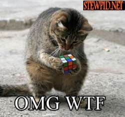 omg-wtf-cube.jpg