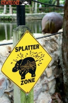 splatter-zone.jpg
