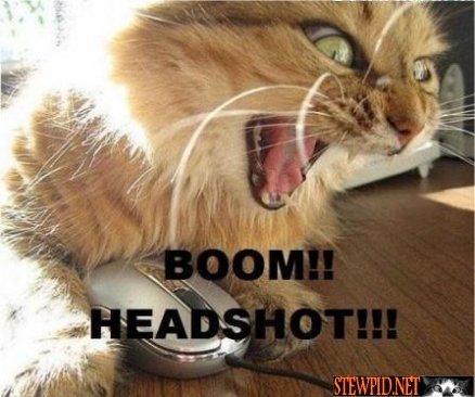 boom-headshot.jpg
