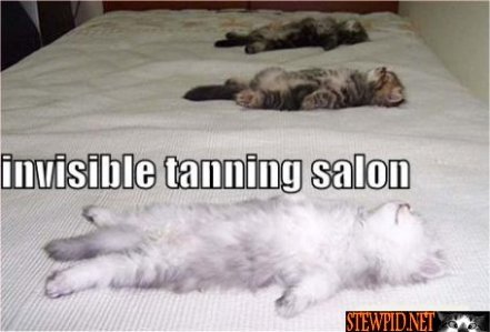 invisible-tanning-salon.jpg