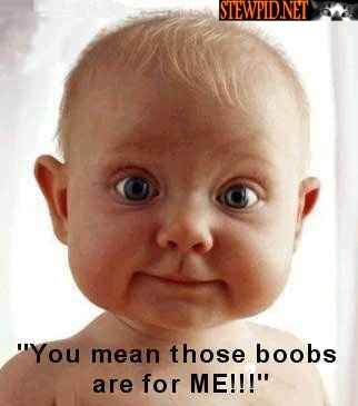 boobs-are-for-me.jpg