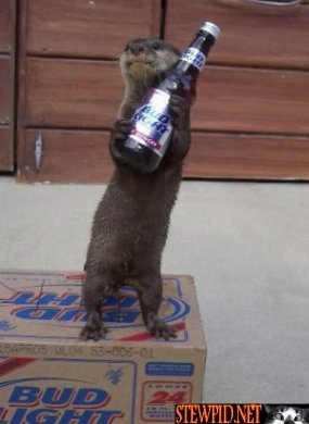 me-lyke-beerz.jpg