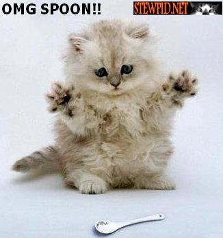 omg-spoon.jpg