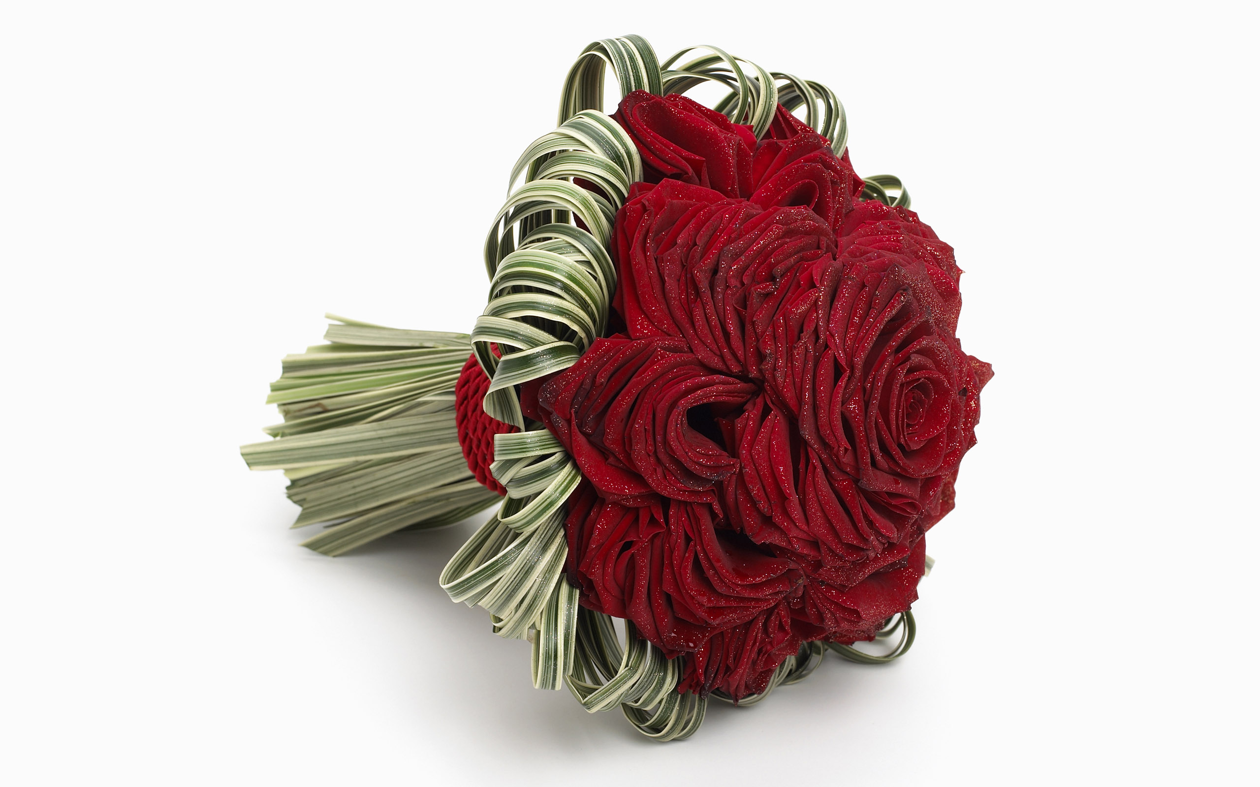 Rose_009001.jpg