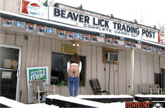 beaver-lick-trading.jpg