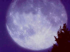 2h4hvr8.gif