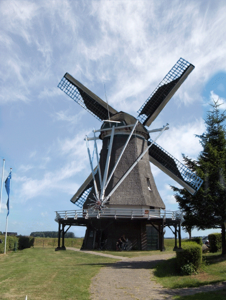 molentje.gif