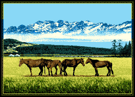 horses-189.jpg