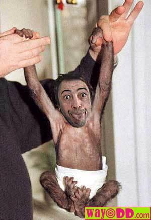 Monkey Boy.jpg