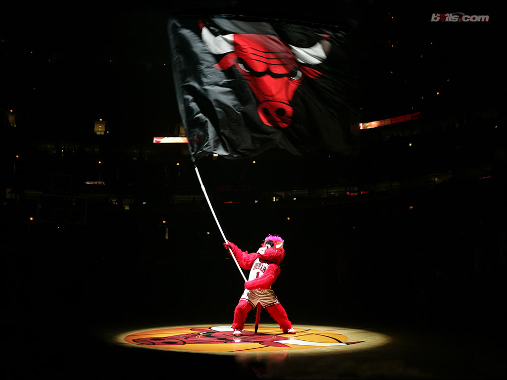 bulls-1.jpg