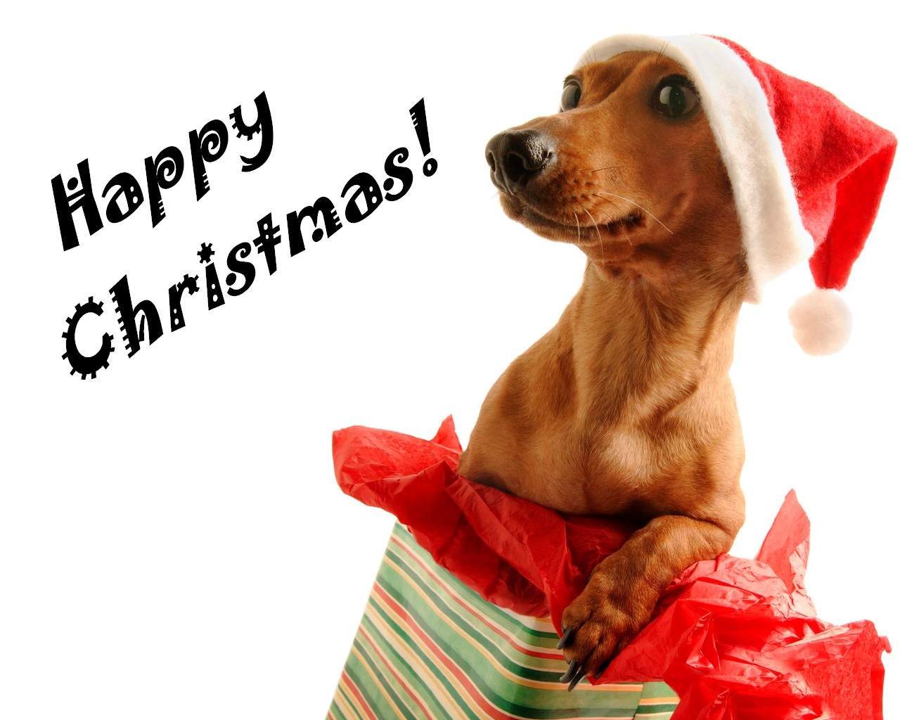 Ho_Ho_by_gusia10000.jpg