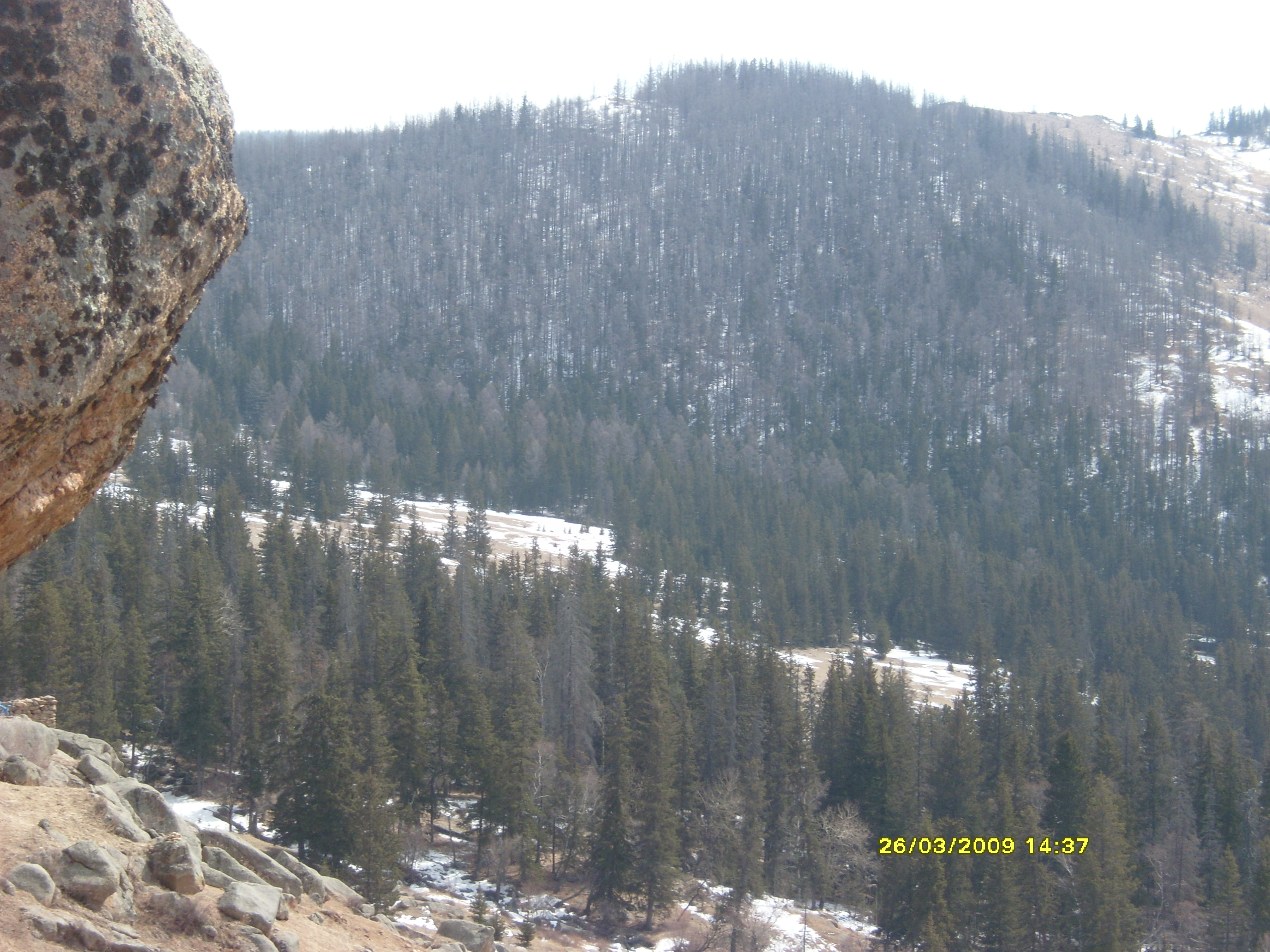 Picture 150.jpg
