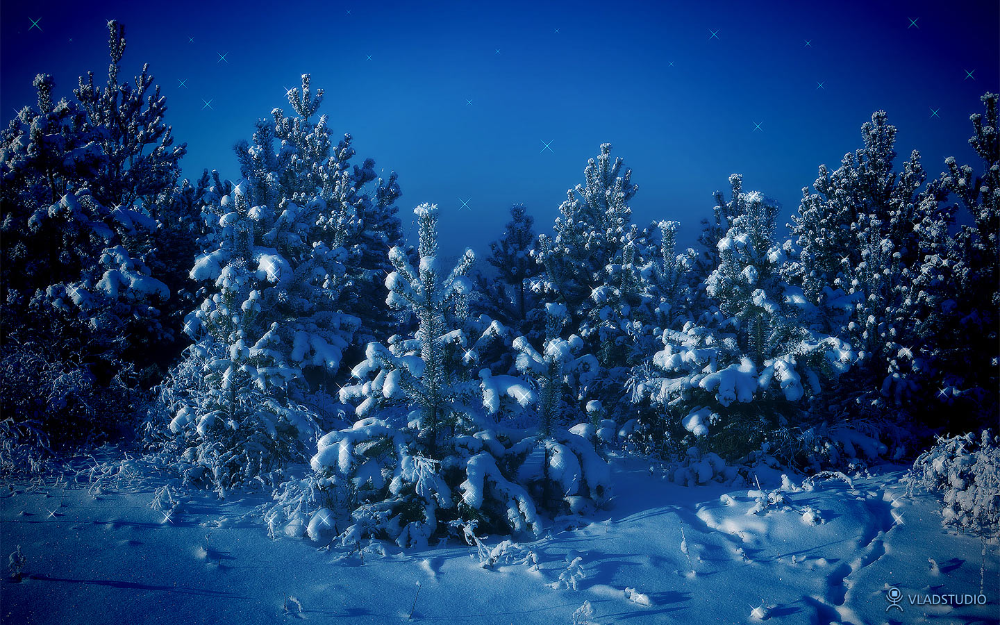 vladstudio_siberianwinter_1440x900.jpg