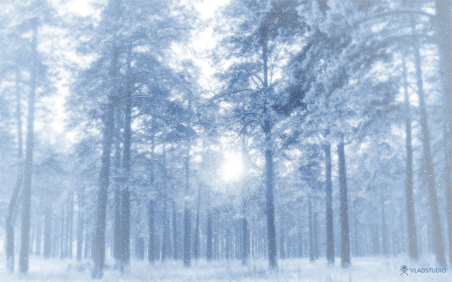 vladstudio_winterforest_1440x900.jpg