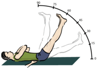 200px-Straight-leg-test.gif