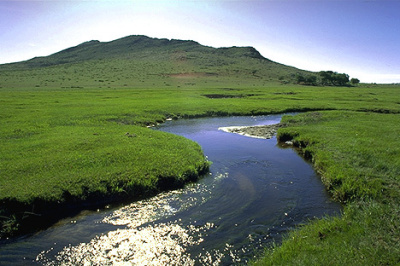 nature1.jpg