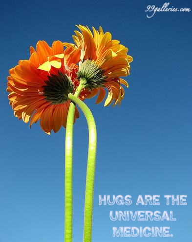 hugs are the universal medicine.jpg