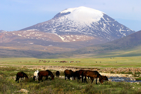 Nature_%25286%2529%255B1%255D.jpg