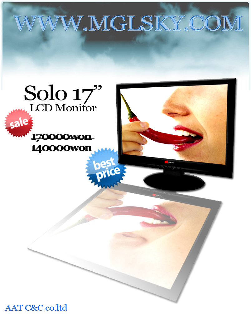 17 monitor.jpg