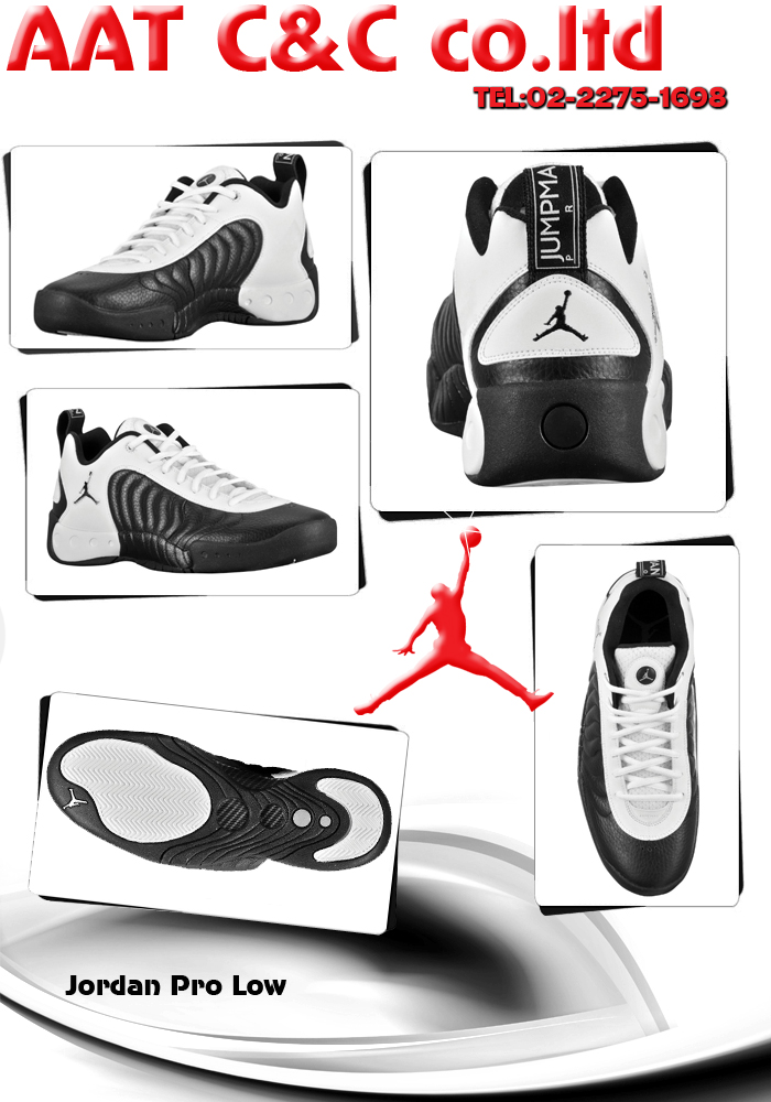 jordan pro low.jpg