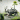 id: 