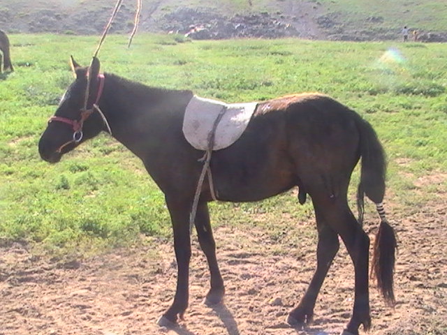사진 090.jpg