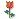 emoticon emoticon